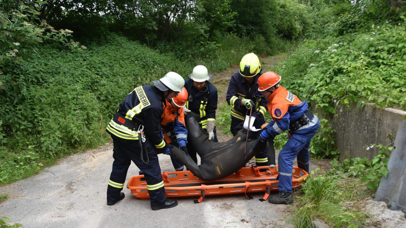 Viel Aktion für die Jugendfeuerwehr Rot, Gelb und Blau